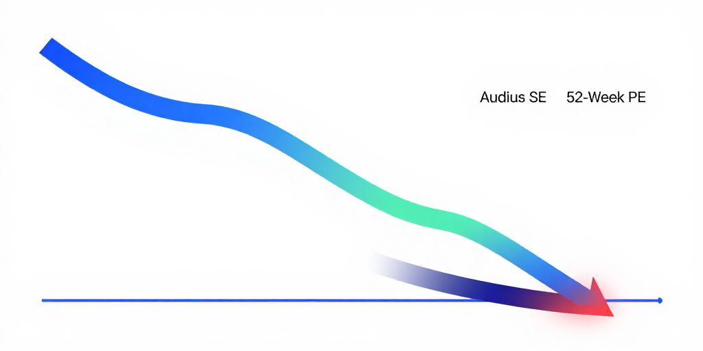 Aktuelle Audius SE-Analyse: Kurs nahe 52-Wochen-Tief & Wachstumspotenzial im Blick